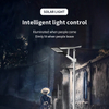 Intelligent Hybrid Lithium Solar Street Light