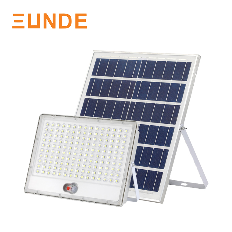 Sensor Solar Flood Light