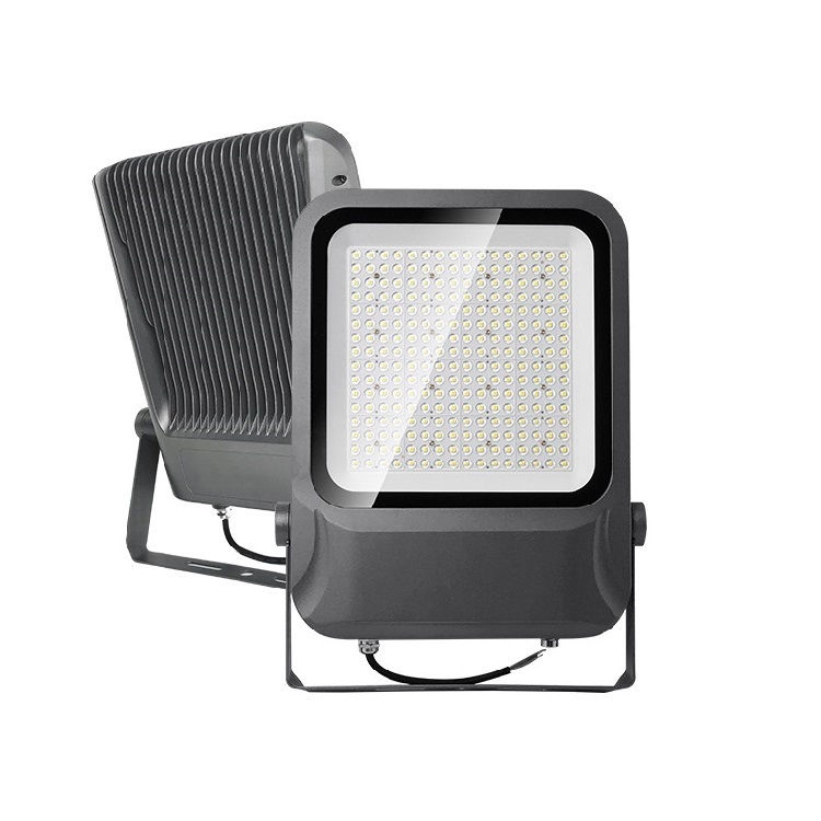 LED Flood Light